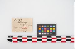 Etikett zu Bronzemehrkopfnadel (NHMW-PRAE-025587)
